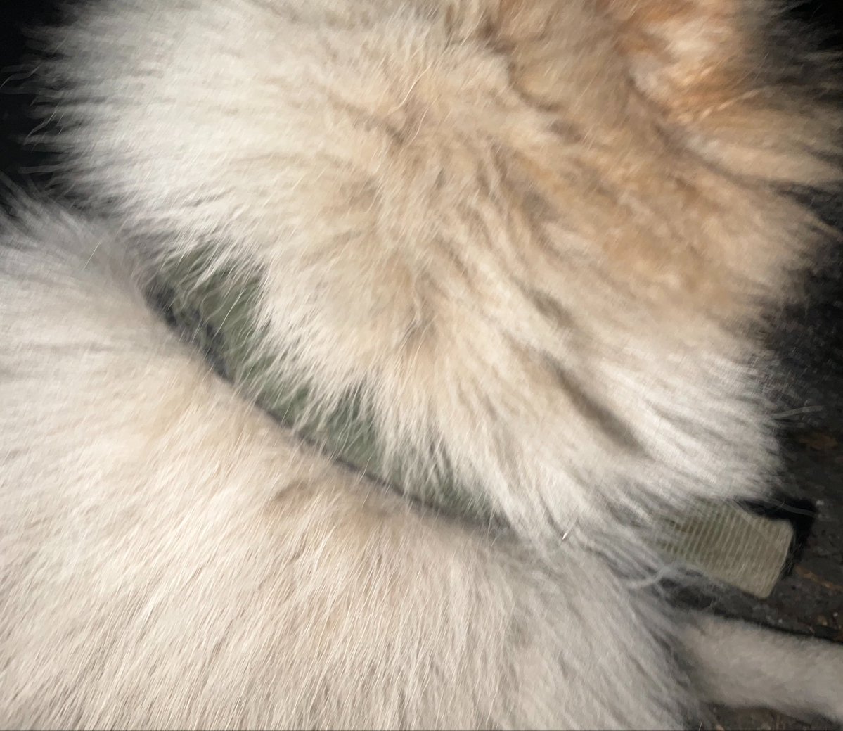 °ʚ XX ɞ°【GRWIN】 tweet media