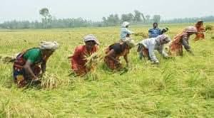 Amar Bangladesh Party-এবি পার্টি tweet media