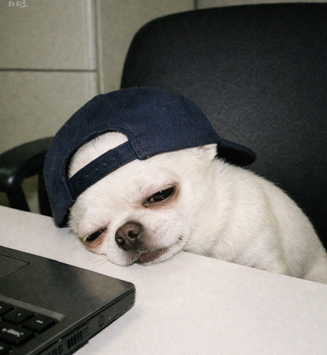 Nami Jojo💦🫦 tweet media