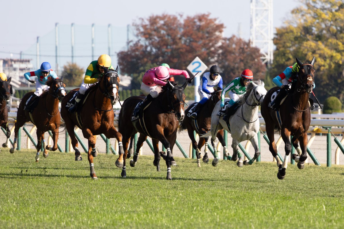 🤍💜💛むーしゅ💛💜🤍 tweet media