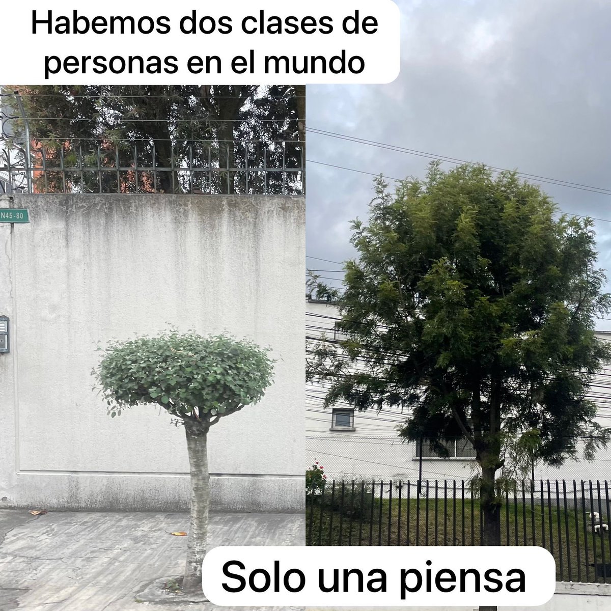 Jorge Touma tweet media