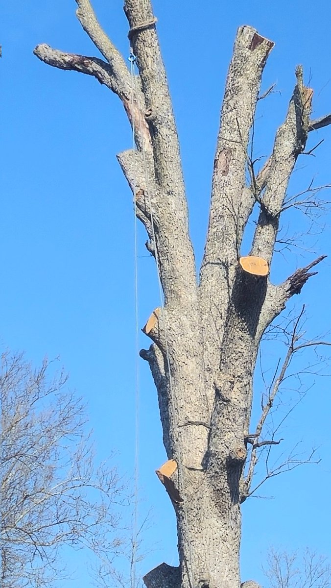 We're installing a tire swing on 17 to enjoy during those long waits.