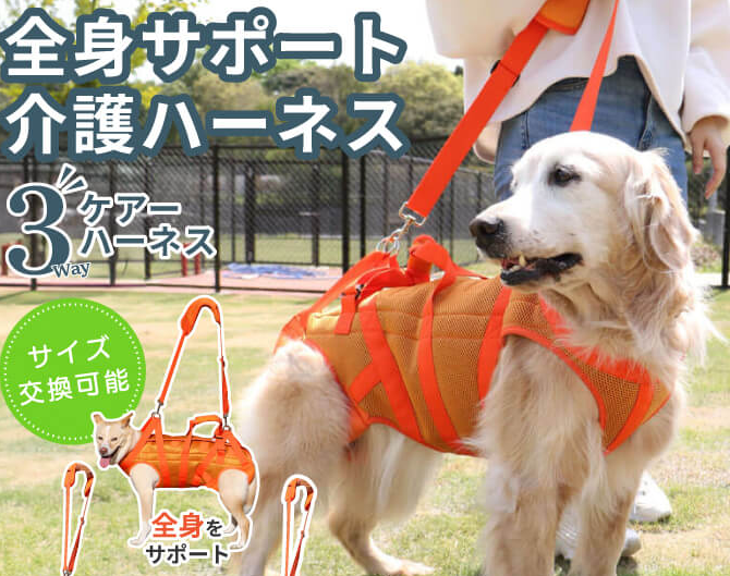 チーズと山羊大好き tweet media