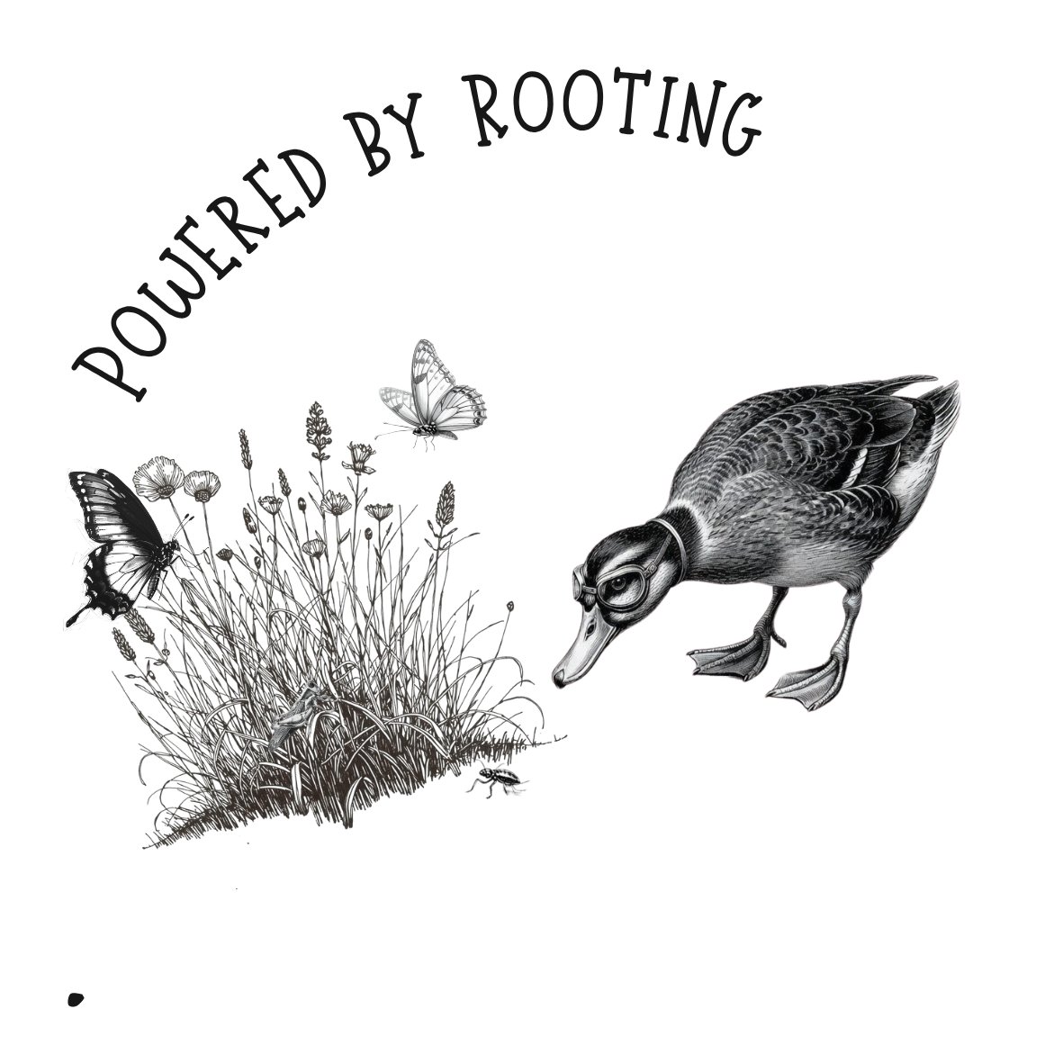 CharmIridescent's tweet image. On the farm we take care of bugs in many ways, praying mantis, Ladybugs, dragonflies and ducks. Most of our farm is powered by these little rooters. The crows follow them around and get what the ducks missed. I get a grub free yard, win-win!   ---NOT AI
#ducks #farmlife