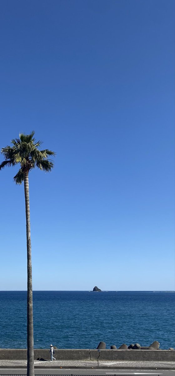 伊豆色 tweet media