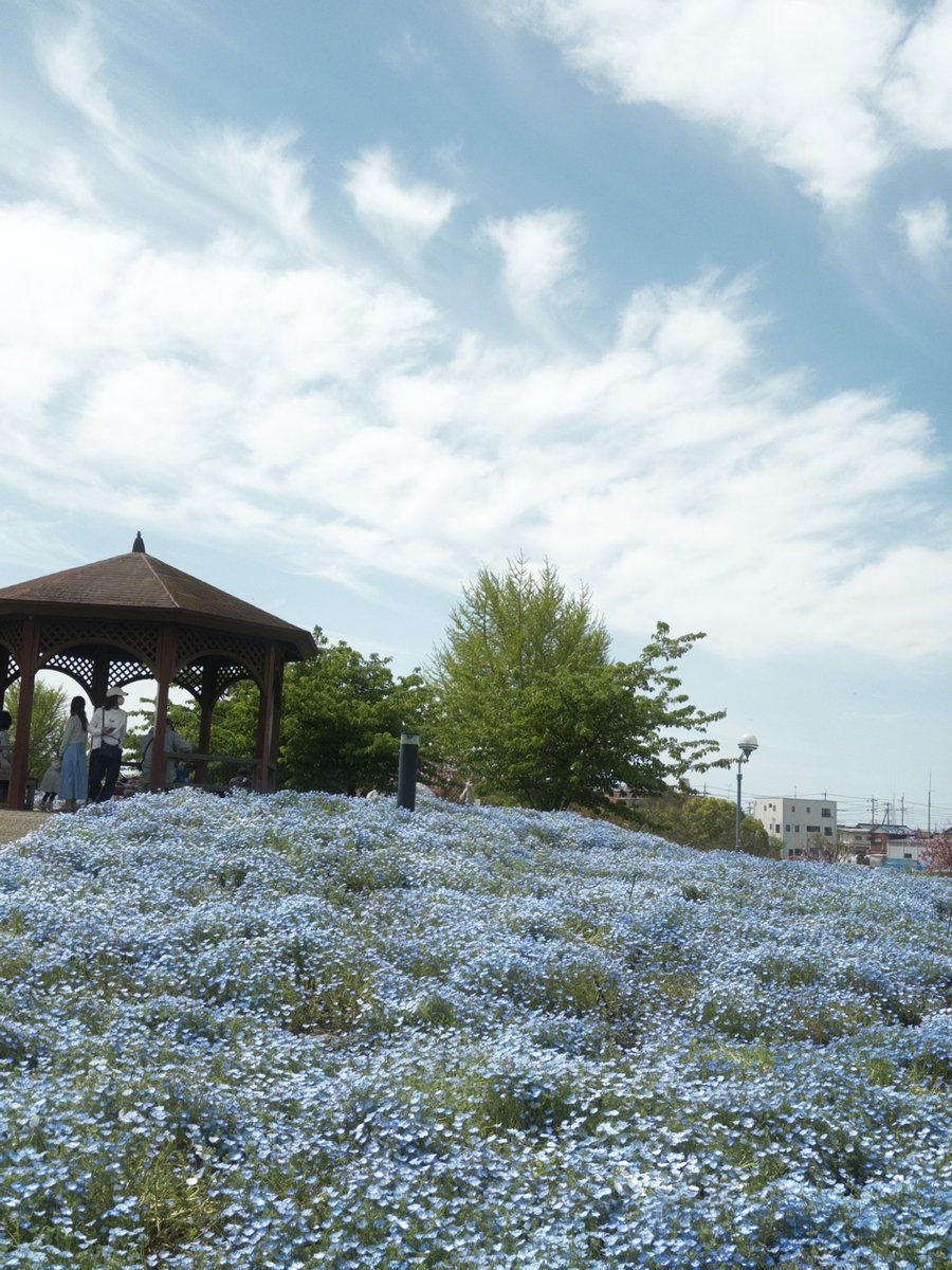 かなこ🕊もう泣かないもん tweet media