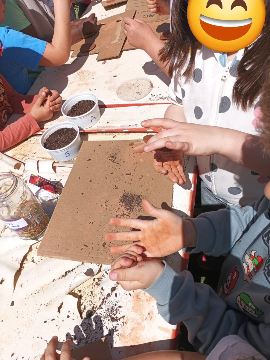 En segundo: han hecho bombas de semillas de tomates y tajetes, para echarlas en el huerto cuando estén secas. Han regado el maíz y girasol que plantamos, han quitado hierbas y hemos visto que las alcachofas tienen plaga.
