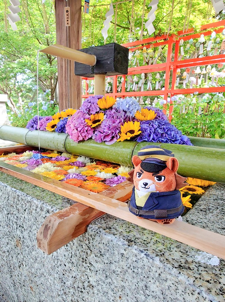 黒羽@🌲春のスギモトちたたぷ祭り🌲 tweet media