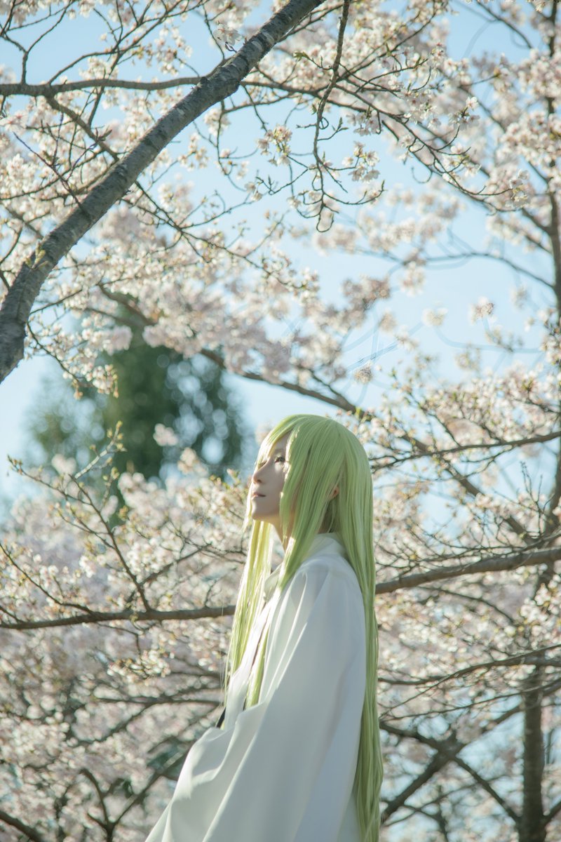 葱ゆーや🎃にじそ⑪西4モ4🌈 tweet media