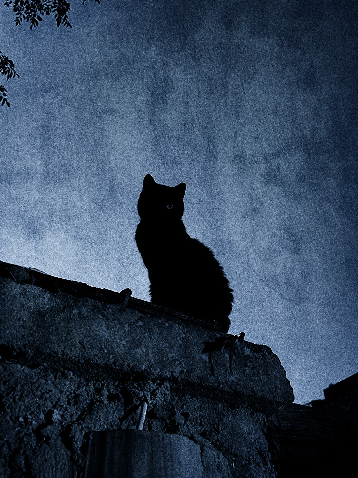 𝗭𝗔𝗬𝗡𝗘. tweet media