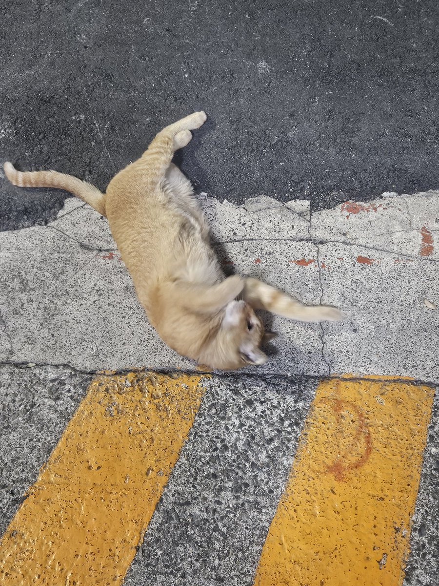 頭獎得主一次做一件事慢慢來 tweet media