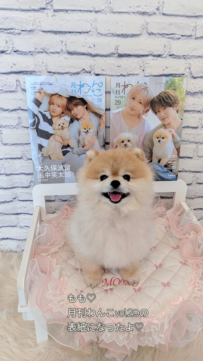 ももごまお tweet media