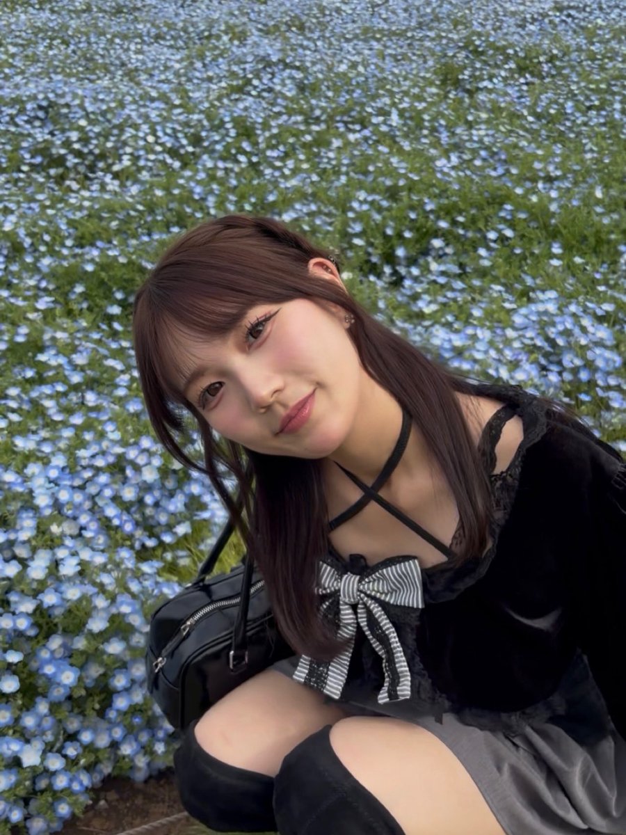 このは【特撮がるず】 tweet media