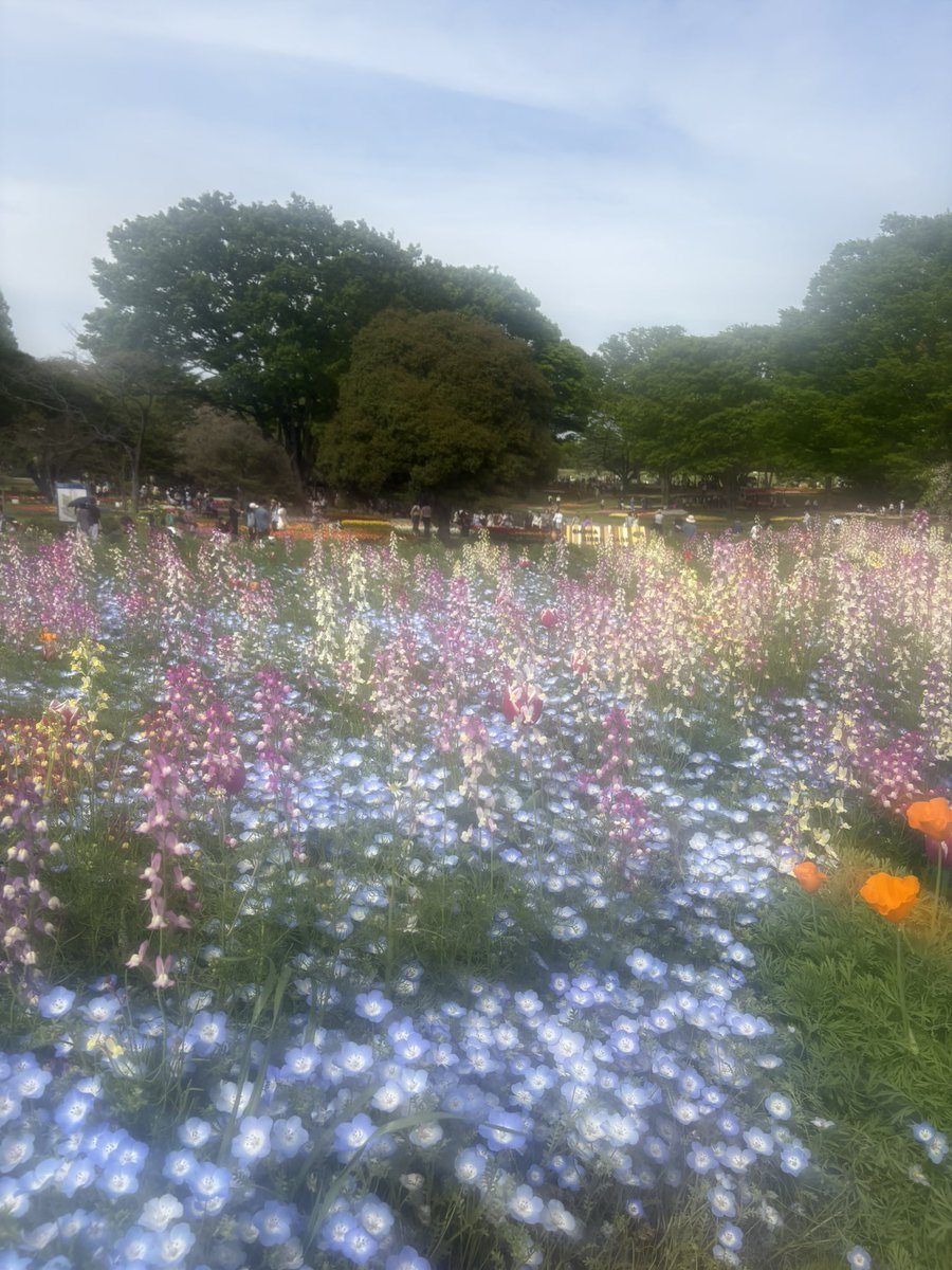 このは【特撮がるず】 tweet media