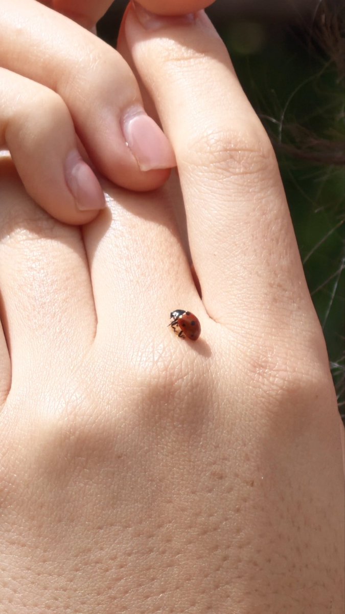 Tech Home  tweet media