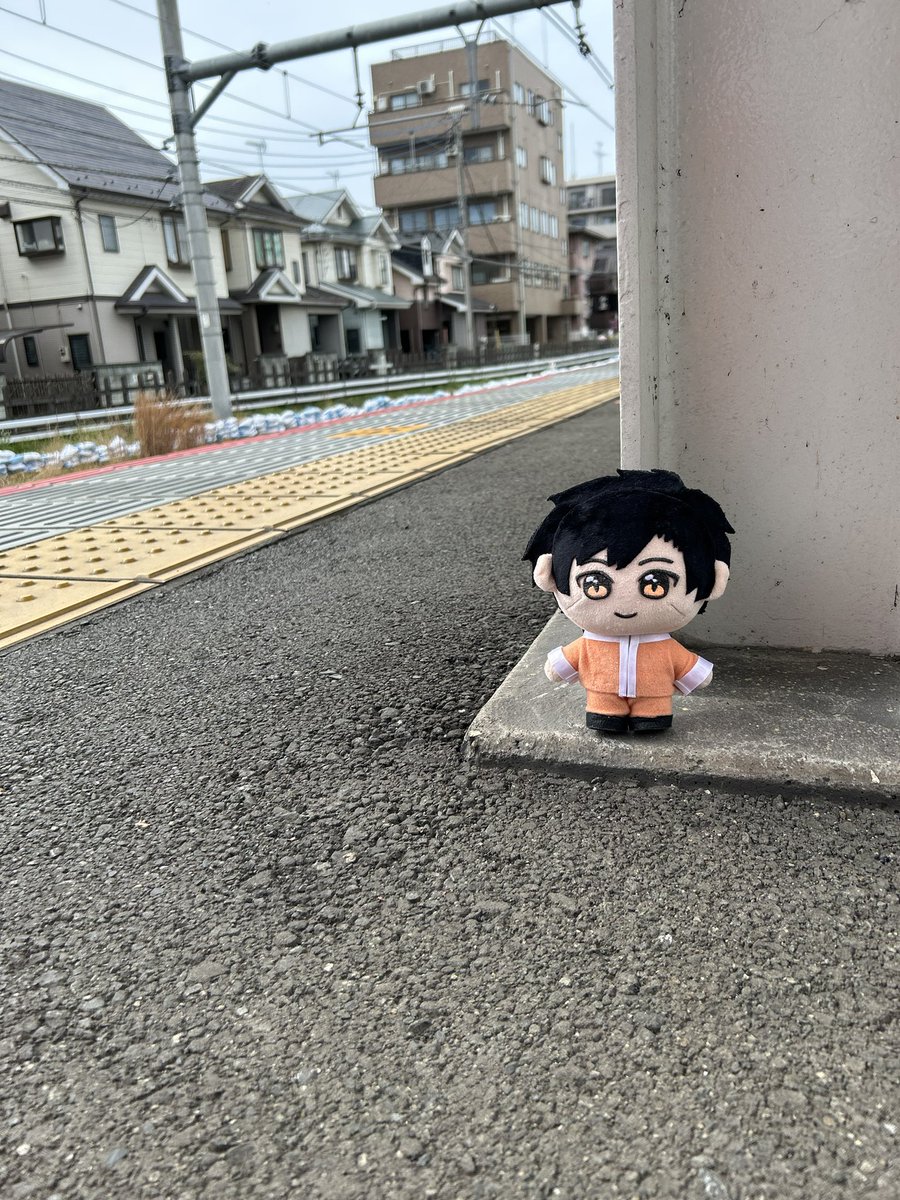 ひつじ@5/6青報 tweet media