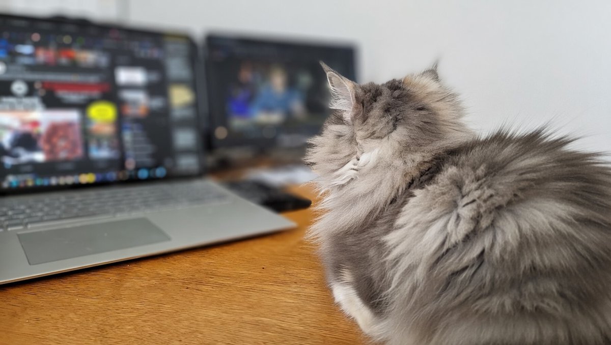 RandomstuffA2Z's tweet image. Proof that my best editing partner has four paws and zero chill about deadlines 😻 

What’s your workspace look like? Drop a pic 👇 

#Catstagram #WorkWithCats #CreativeCat #FurryAssistant