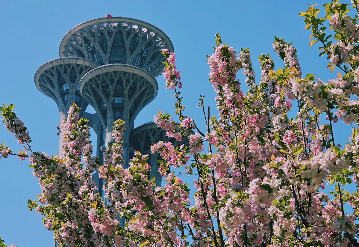 Victor Villanueva tweet media