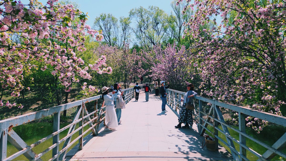 Victor Villanueva tweet media