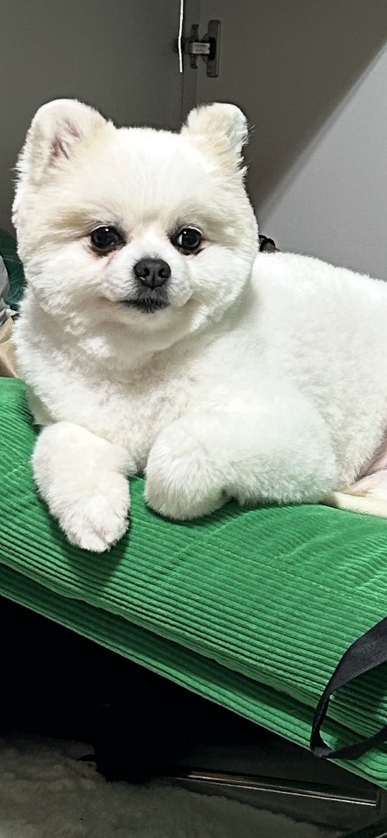 🍞まる。 tweet media