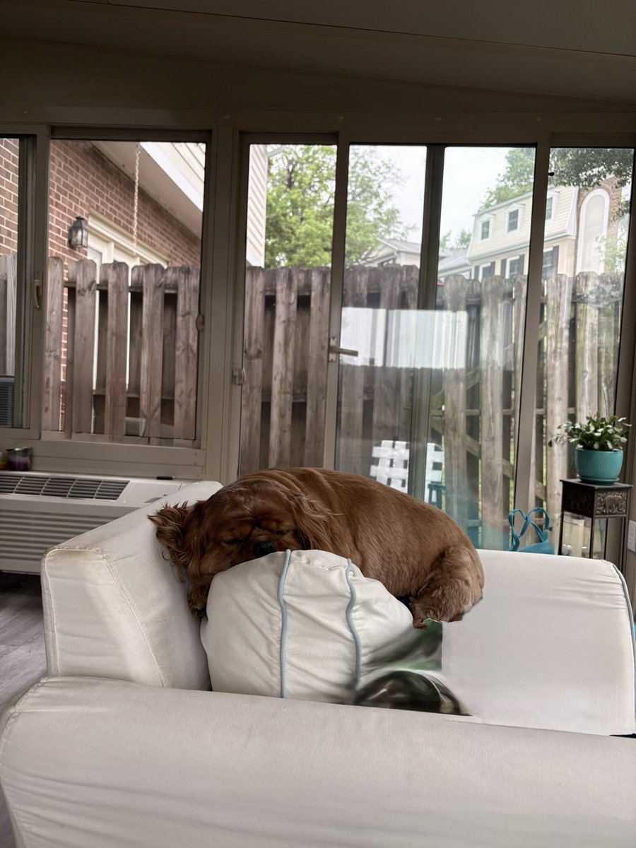 That’s Miss American to you, Mac. tweet media