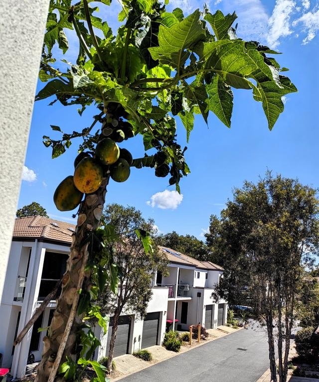 Abidul islam tweet media