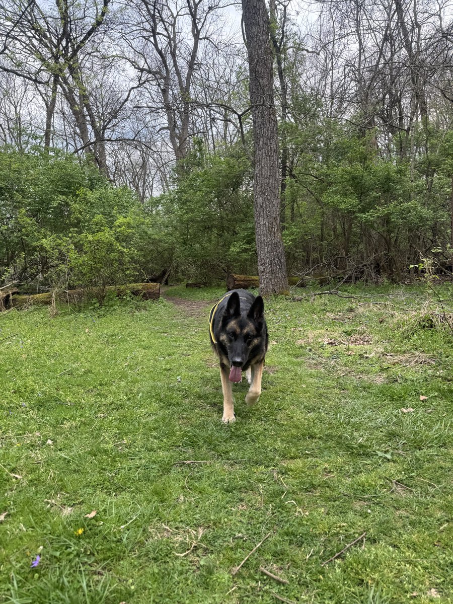 Suzies World tweet media