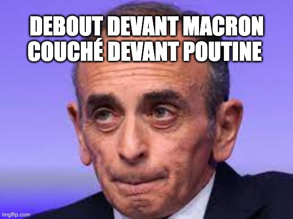 Elwood Fella tweet media