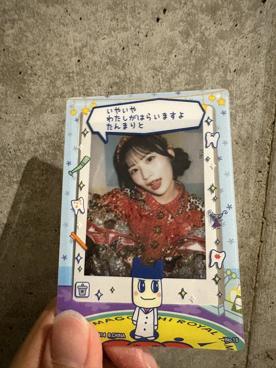 探せ ダイヤモンドリリー tweet media