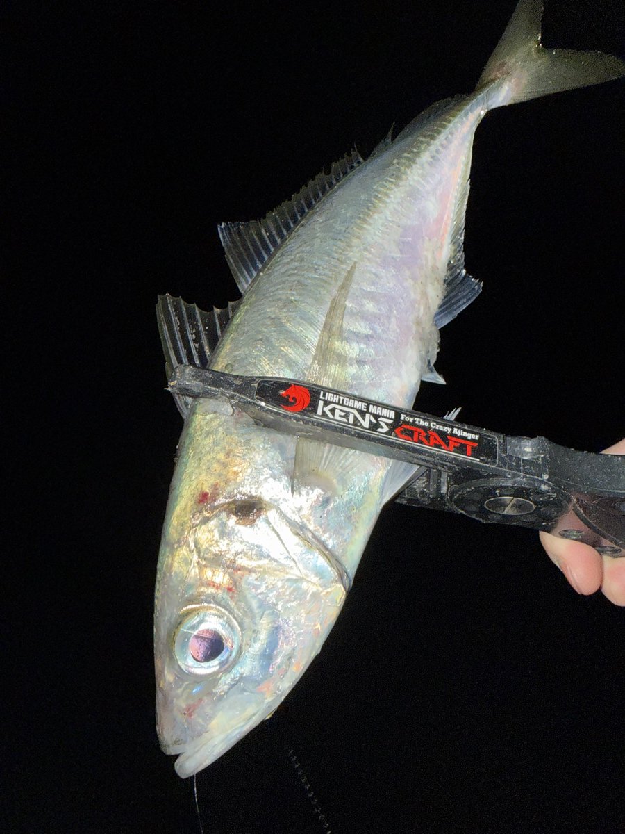 ゆー（cocoa） tweet media