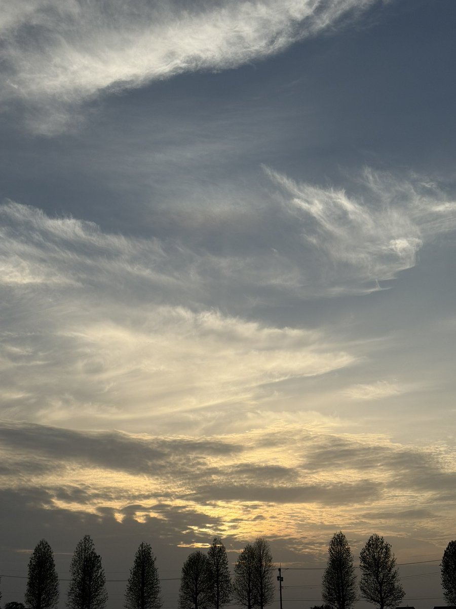 夕空の #上部タンジェントアーク がとても輝いていて「今日の主役は私ですよ」と言ってるようでした✨
17:30〜 つくば市
#大気光象
#雲活