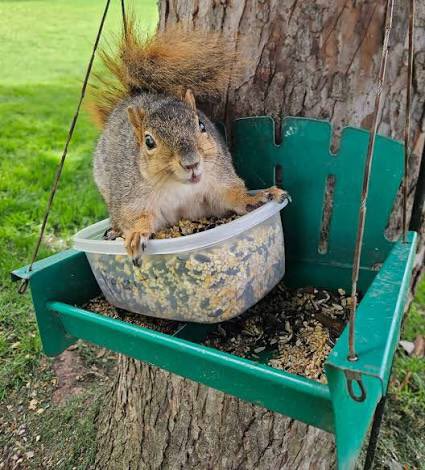 Lillian May tweet media