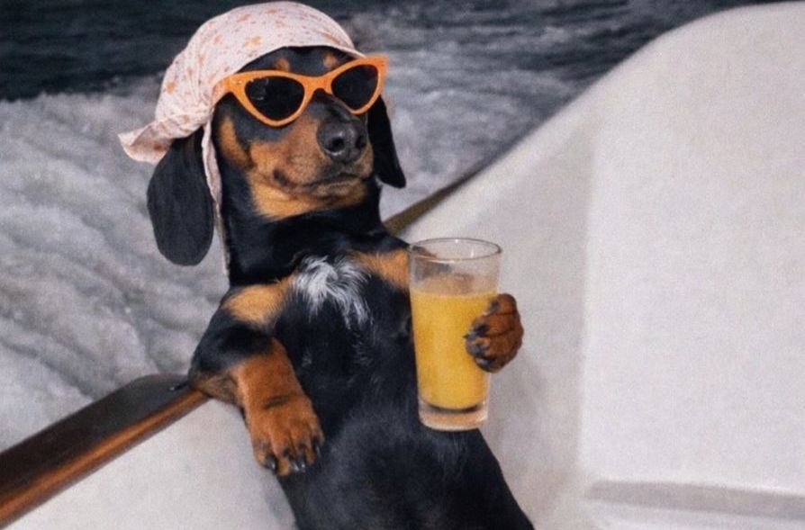 Nerd🤓 tweet media