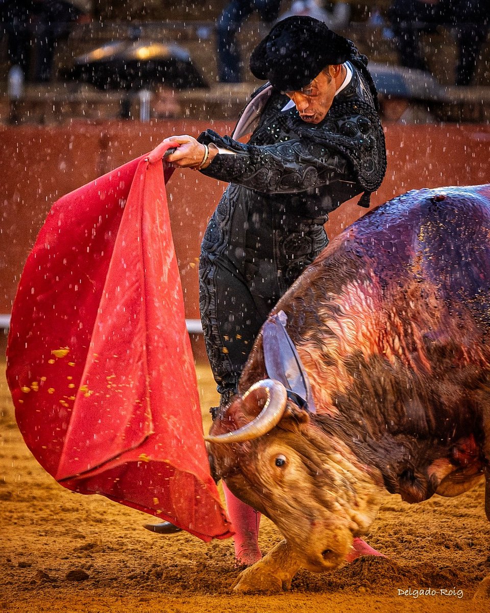 adelgadoroig's tweet photo. 'Tonadillo', Pepe Moral y una tromba de agua.
📷 @adelgadoroig https://t.co/maNyqKinxU