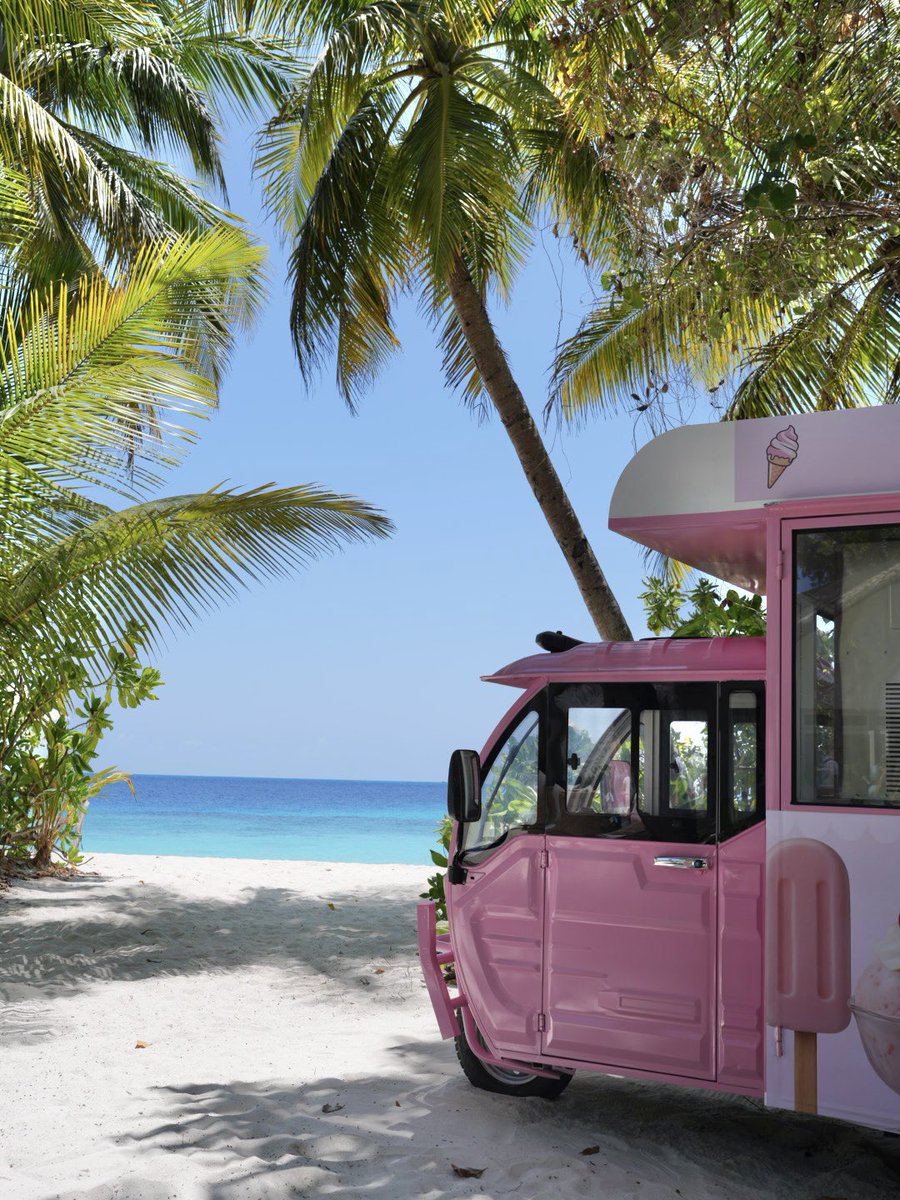 فاطمة المطر tweet media