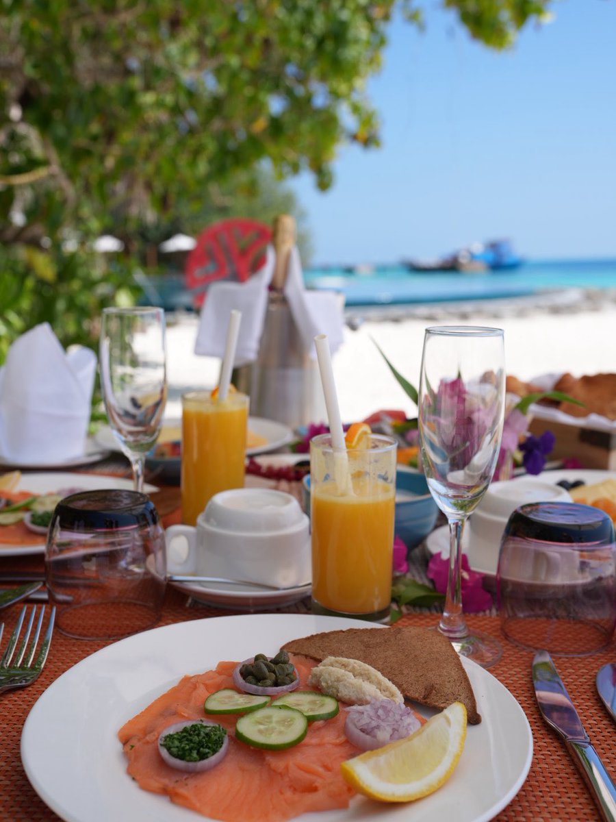 فاطمة المطر tweet media