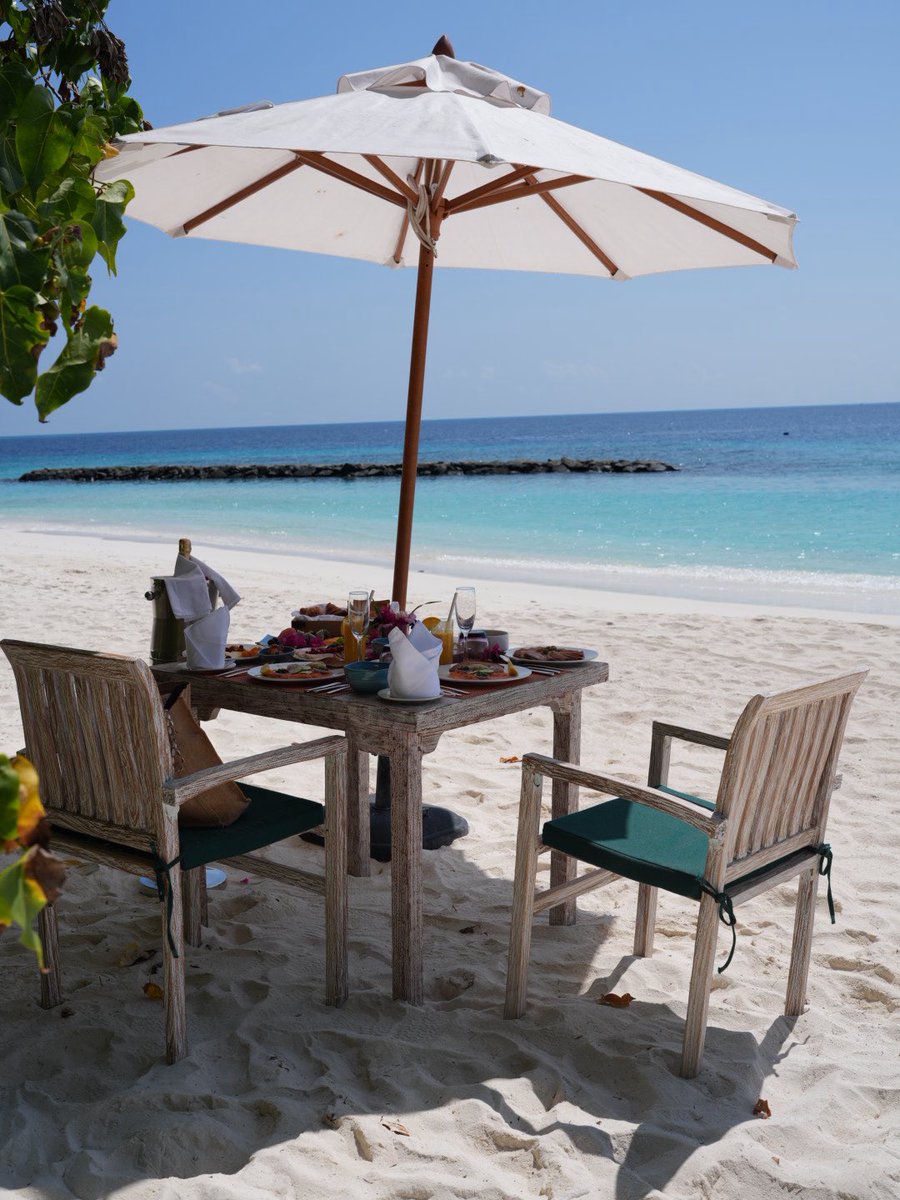 فاطمة المطر tweet media