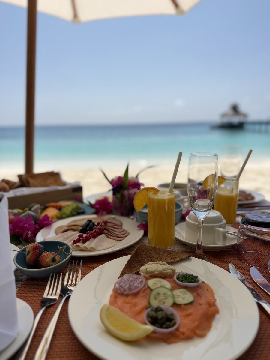 فاطمة المطر tweet media