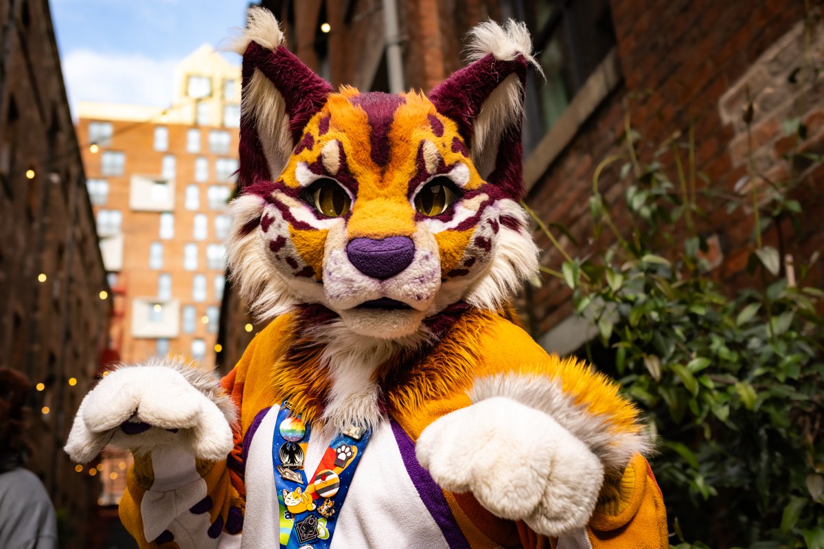 lukederg's tweet photo. Some Piccies I took at my first ever @MancFurs  <3. I had such a great time meeting new people, friends, getting pictures of some gorgeous Fursuiters.  Thank you all that attended to make it one to remember :) https://t.co/M55TziZTO4
