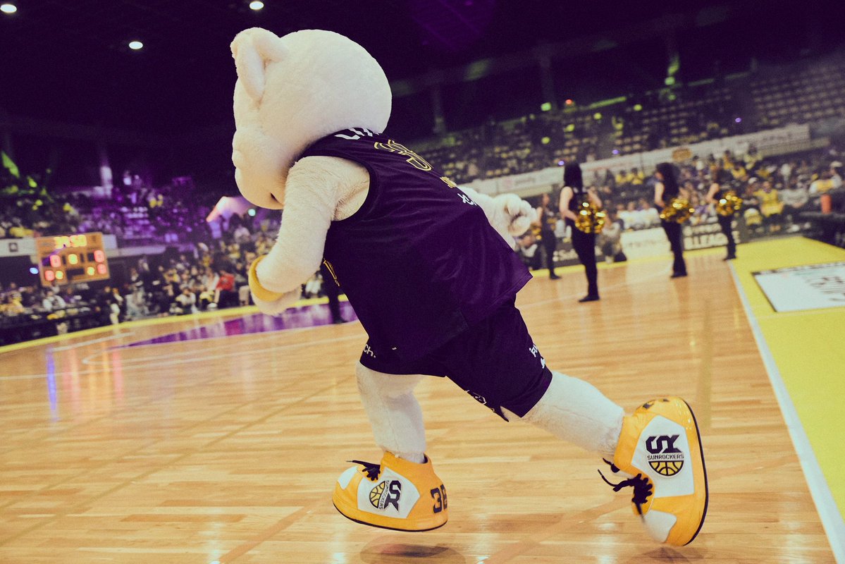 サンディー tweet media