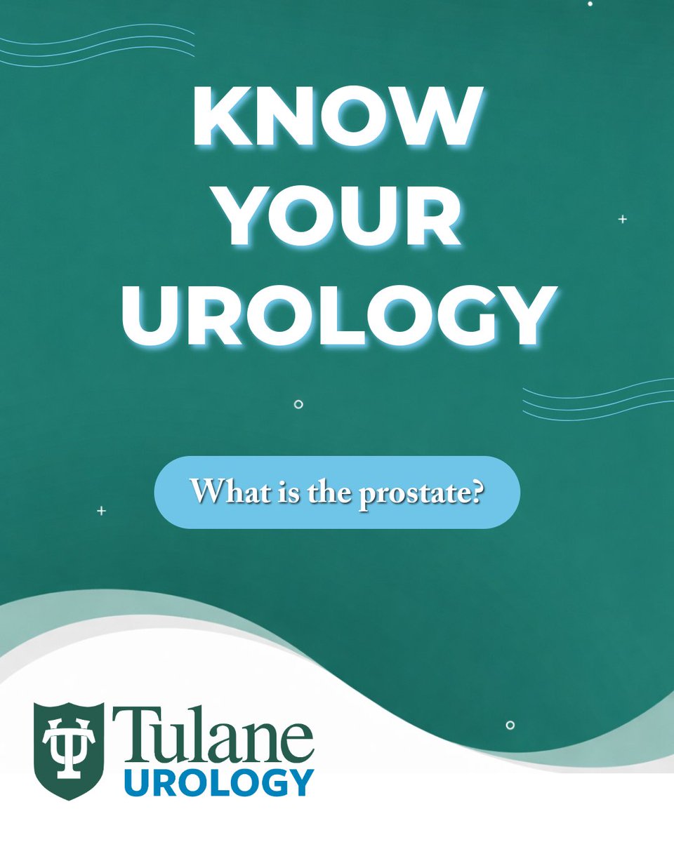 TulaneUrology's tweet image. Know your health. Know your urology.

The prostate plays an important role in both urinary and reproductive health.

Learn more: tulaneurology.com
📞 504-988-5271

#TulaneUrology #MensHealth #KnowYourUrology #KnowYourHealth #ProstateHealth #Urology
