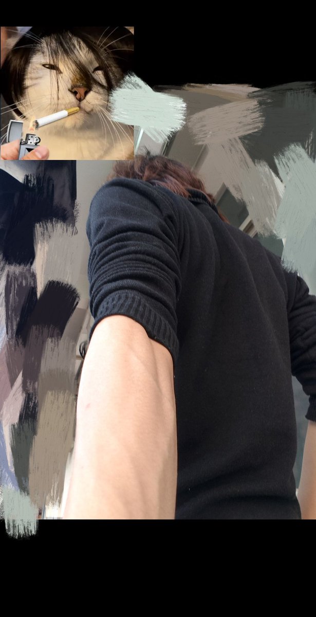c (@C7920901383781C) / Posts / X