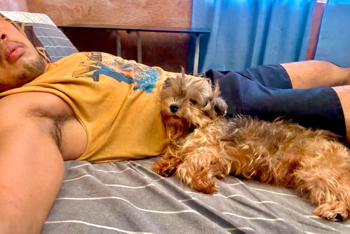 𝗚𝗜𝗲𝗻𝗻 𝗕𝗿𝗶𝗜𝗜𝗮𝗻𝘁𝗲 tweet media