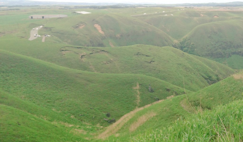 マリコ★デラックス tweet media