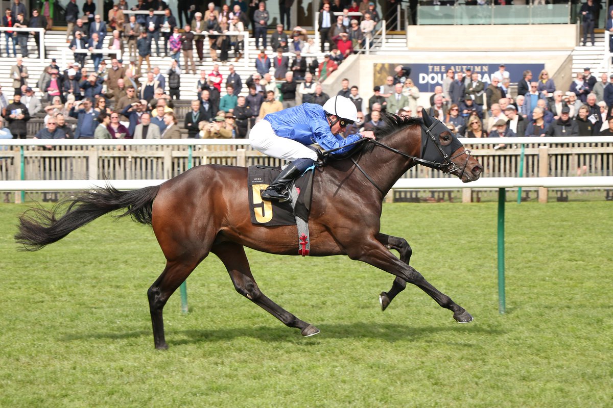 godolphin's tweet image. 🇬🇧 A double for #TeamGodolphin, Charlie Appleby and William Buick as 2,000 Guineas entrant Talk Of New York shows a brilliant turn of foot @NewmarketRace on day one of the Craven Meeting 🙌

Another Godolphin homebred to watch out for this season! 👀