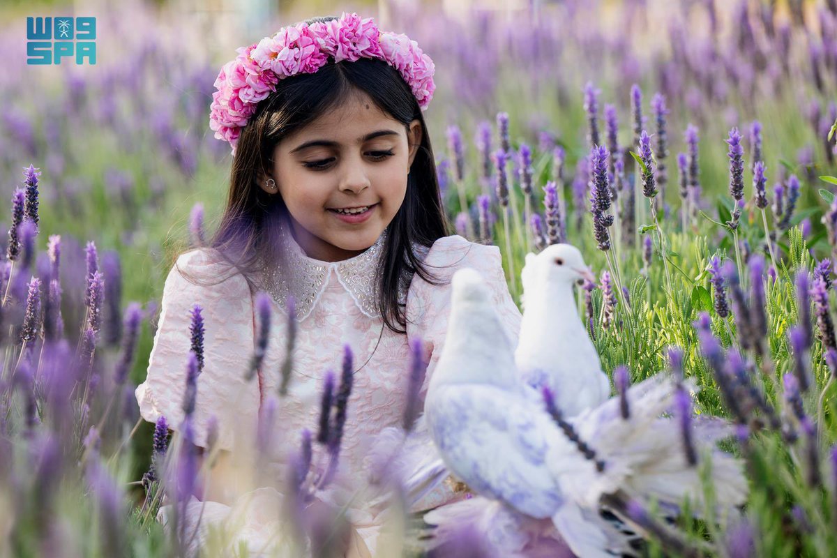 المملكة tweet media