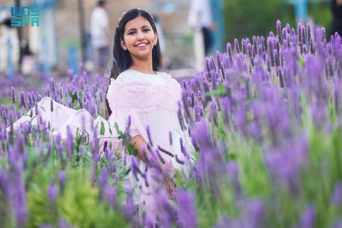 المملكة tweet media