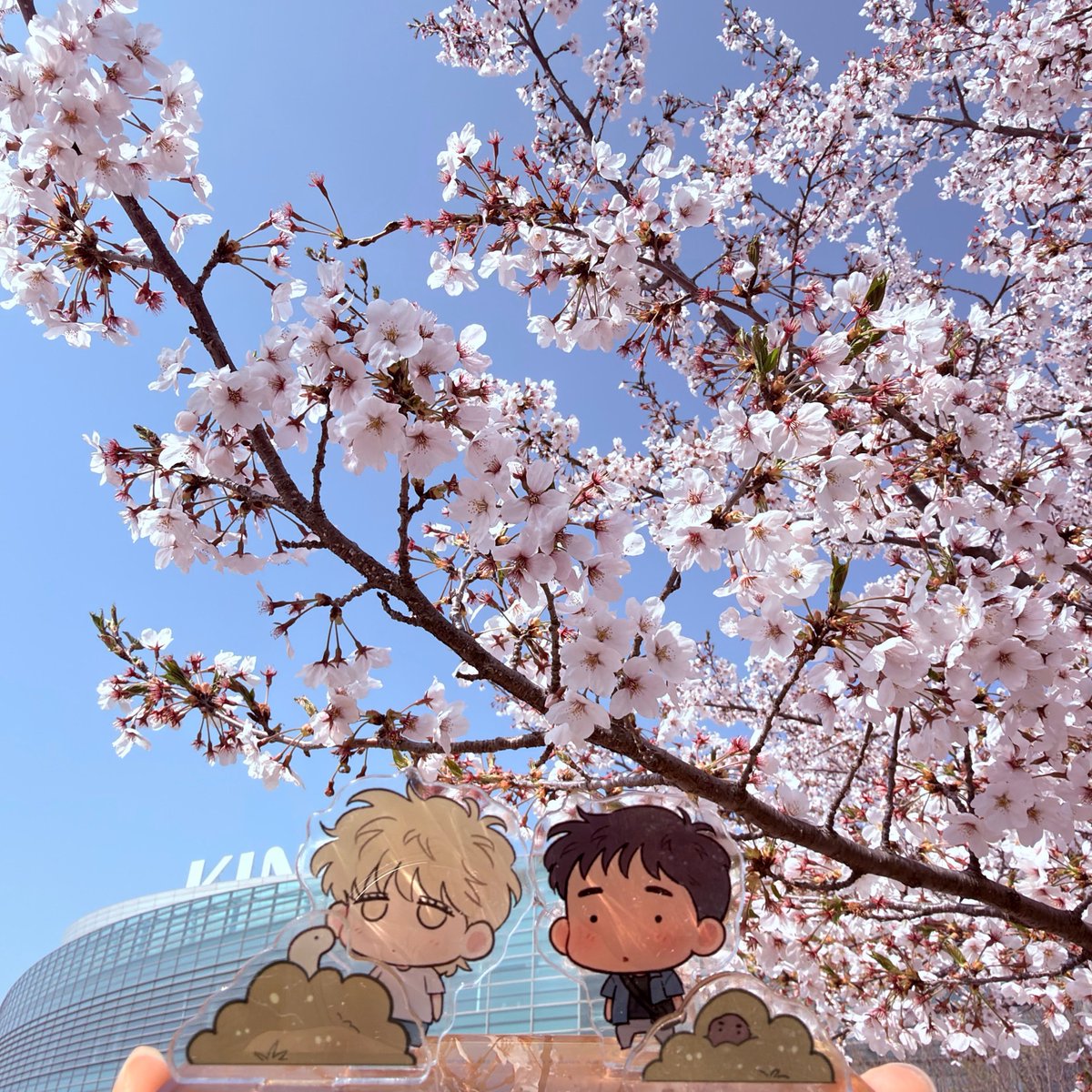 Sunny🫧 tweet media