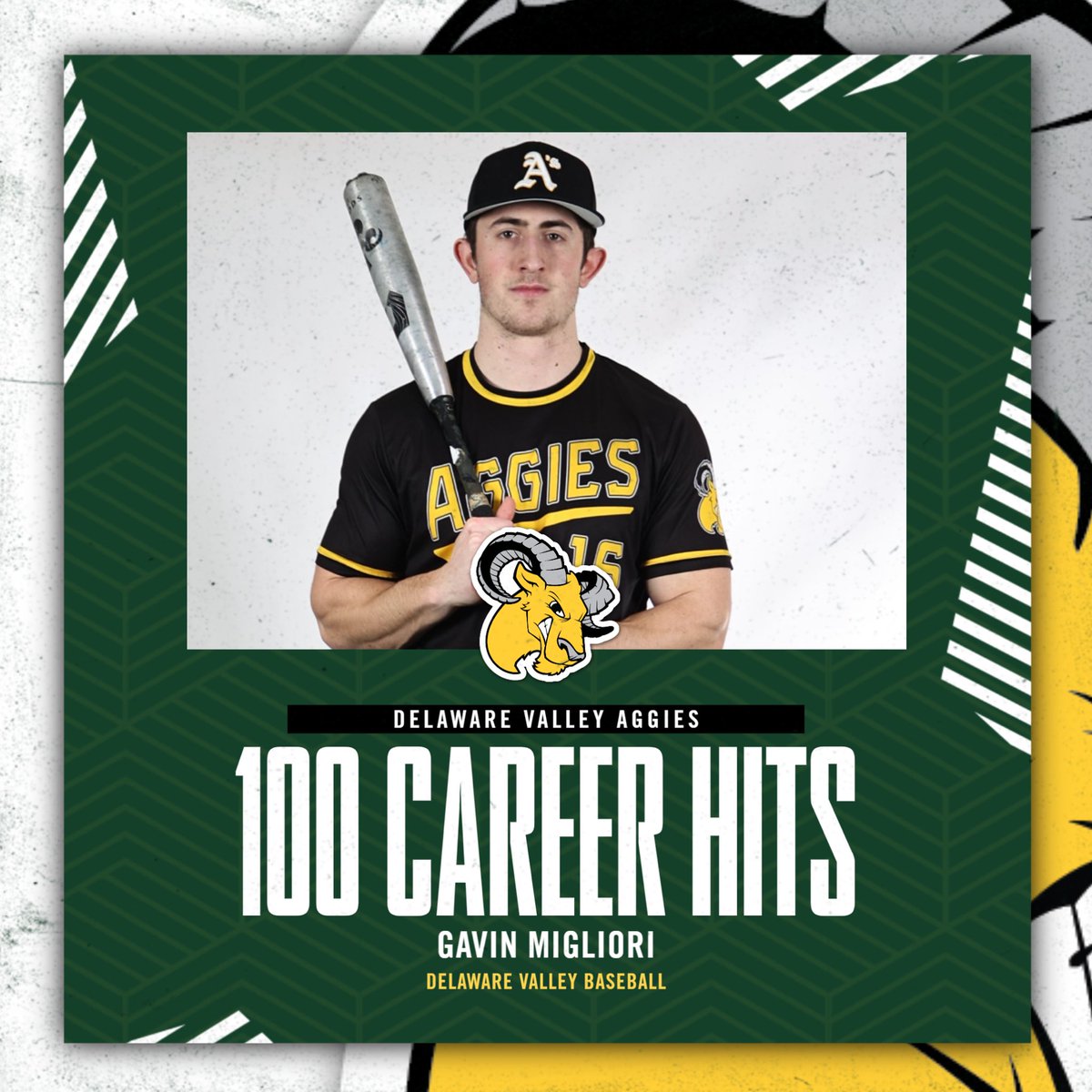 Delval Baseball tweet media
