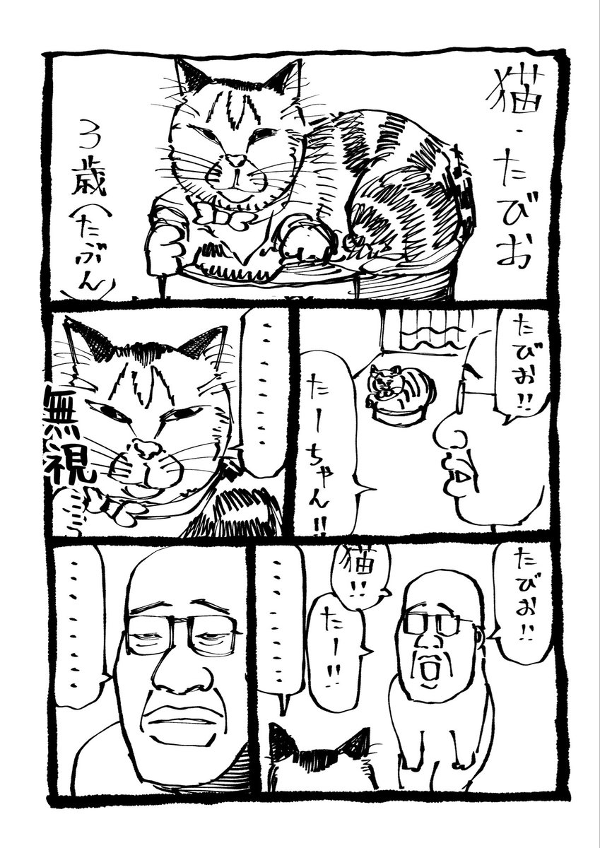 ザビエラー長谷川 tweet media